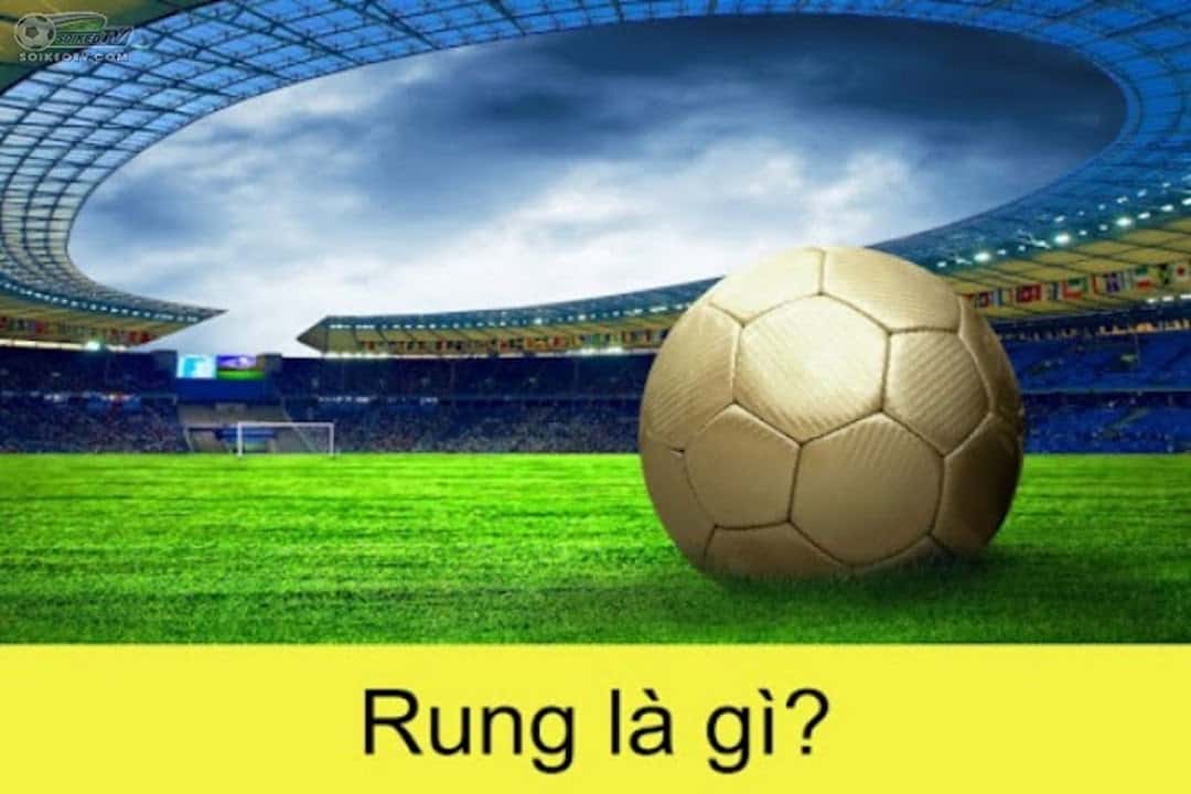 Tìm hiểu kèo rung là gì?