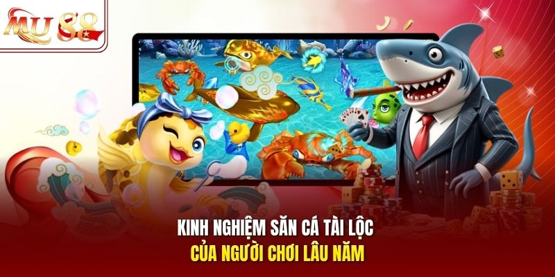 kinh-nghiem-san-ca-tai-loc-cua-nguoi-choi-lau-nam Kinh nghiệm săn cá tài lộc của người chơi lâu năm
