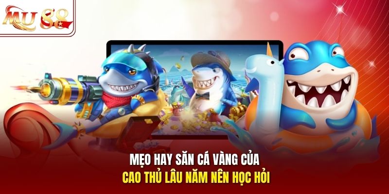 Mẹo hay săn cá vàng của cao thủ lâu năm nên học hỏi